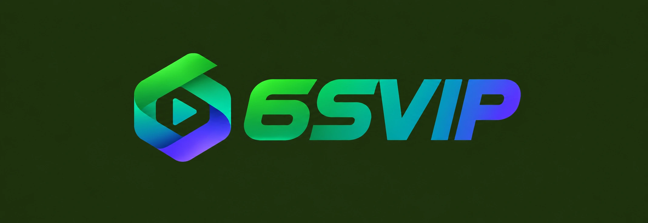 6SVIP Logo